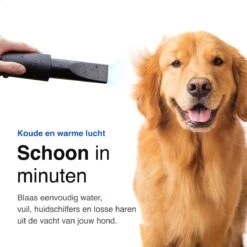 Vivid Green Waterblazer Met 3 Opzetstukken - Hondenfohn - Voor Honden - Met Geluiddemper - 2800W -Huisdierbenodigdheden 1200x1200 90