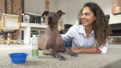OxyFresh Pet Mondwater Hond En Kat. Helpt Tegen Tandsteen, Plak En Vieze Ademgeurtjes -Huisdierbenodigdheden 1200x675 1