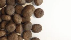 Carocroc Grain Free - Gevogelte/Aardappel/Bieten - Hondenvoer - 15 Kg -Huisdierbenodigdheden 1200x675