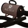 Tools-2-Groom Waterblazer Basic Paw-R 2200 Watt -Huisdierbenodigdheden 1200x693 1
