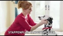 Beaphar Tandenborstel -Huisdierbenodigdheden 1200x697