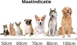 Behave Donut Hondenmand - Hondenkussen - Hondenbed - Kattenmand - Fluffy - Donut - 50cm - Beige 12 Behave Donut Hondenmand - Hondenkussen - Hondenbed - Kattenmand - Fluffy - Donut - 50cm - Beige -Huisdierbenodigdheden 1200x706