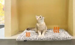 Merkloos Zelfverwarmende Dierendeken Zonder Stroom Thermo Deken Hond Kat Inclusief Adreslabel 70 X 47 Cm -Huisdierbenodigdheden 1200x730