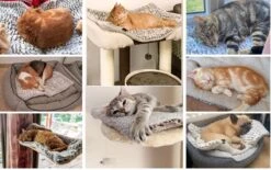 Merkloos Zelfverwarmende Dierendeken Zonder Stroom Thermo Deken Hond Kat Inclusief Adreslabel 70 X 47 Cm -Huisdierbenodigdheden 1200x751 2