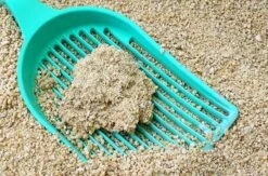 Voorkant -Huisdierbenodigdheden 1200x790 2