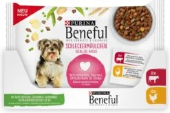 Beneful Pouch - Hondenvoer Kip & Rund In Saus - 40 X 100 G -Huisdierbenodigdheden 1200x796