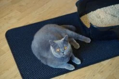 Merkloos Tastelio XXL Kattenbakmat 75x55cm - Groot Kattenbak Mat Met Innovatieve Honingraatstructuur - Dubbele Waterdichte Laag - Katten Bak Mat Met Eenvoudige Reiniging Grit Opvanger -Huisdierbenodigdheden 1200x799 15