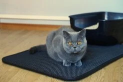 Merkloos Tastelio XXL Kattenbakmat 75x55cm - Groot Kattenbak Mat Met Innovatieve Honingraatstructuur - Dubbele Waterdichte Laag - Katten Bak Mat Met Eenvoudige Reiniging Grit Opvanger -Huisdierbenodigdheden 1200x799 16