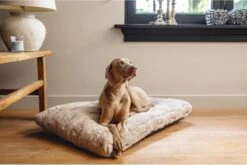 Designed By Lotte Hondenkussen Pluche Xanti Beige 100 X 68 X 5 Cm -Huisdierbenodigdheden 1200x804 1