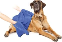 Duvo+ Hondenhanddoek 70 X 100 Cm -Huisdierbenodigdheden 1200x808