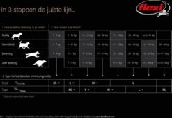 Flexi Rollijn New Classic Tape Large 8 M - Hondenriem - Zwart Tot 50kg -Huisdierbenodigdheden 1200x828