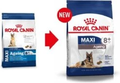 Royal Canin Maxi Ageing 8+ 15 KG -Huisdierbenodigdheden 1200x836