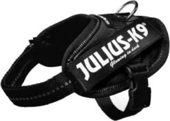 Julius K9 K9®Powertuig, S - Mini, Zwart -Huisdierbenodigdheden 1200x850