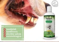Easy Mondwater Voor Honden - 237 Ml - Tegen Stinkende Adem - Tandplak - Tandsteen - Tandvleesproblemen -Huisdierbenodigdheden 1200x852 2