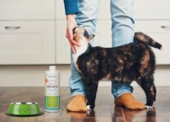 OxyFresh Pet Mondwater Hond En Kat. Helpt Tegen Tandsteen, Plak En Vieze Ademgeurtjes -Huisdierbenodigdheden 1200x864