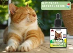 Natuurlijke Vlooiendruppels Voor Katten - Vanaf 4 Kg - 100% Natuurlijk - Vlooien - Zonder Giftige Pesticiden - 30 Ml - Speciale Formule Voor Katten - Vachtdruppels - Made In Holland -Huisdierbenodigdheden 1200x872 6
