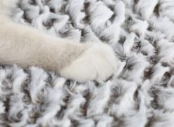 Merkloos Zelfverwarmende Dierendeken Zonder Stroom Thermo Deken Hond Kat Inclusief Adreslabel 70 X 47 Cm -Huisdierbenodigdheden 1200x878 1