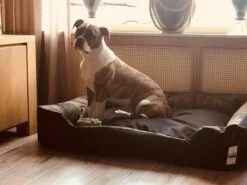 Hondenmand Cordura XXXL – Donkergrijs - 125 X 90 X 24 Cm -Huisdierbenodigdheden 1200x900 19