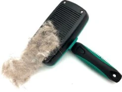 ElegaPet Hondenborstel Groen - Hondenhaar Verwijderen - Kat En Hondenkam - Slickerborstel Hond En Kat - Groomer - Ondervacht Kam Hond - Borstel Hond - Hondenborstel Langharig En Kortharig - Slickerborstel - Anti Klit/Knopen/Huidschilfers -Huisdierbenodigdheden 1200x902