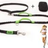 Filo Elastische Hondenriem Middel - Hardlopen En Wandelen - Hardloopriem Hond Handsfree Met Heuptasje - Looplijn Met Heupriem - Canicross Gordel Honden - Riemen - Heupgordel - Leiband -Huisdierbenodigdheden 1200x908