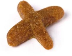 Prins VitalCare Indoor 10 Kg - Kat 30 Prins VitalCare Indoor 10 Kg - Kat -Huisdierbenodigdheden 1200x922 1