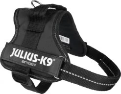 Julius K9 K9®Powertuig, S - Mini, Zwart -Huisdierbenodigdheden 1200x933