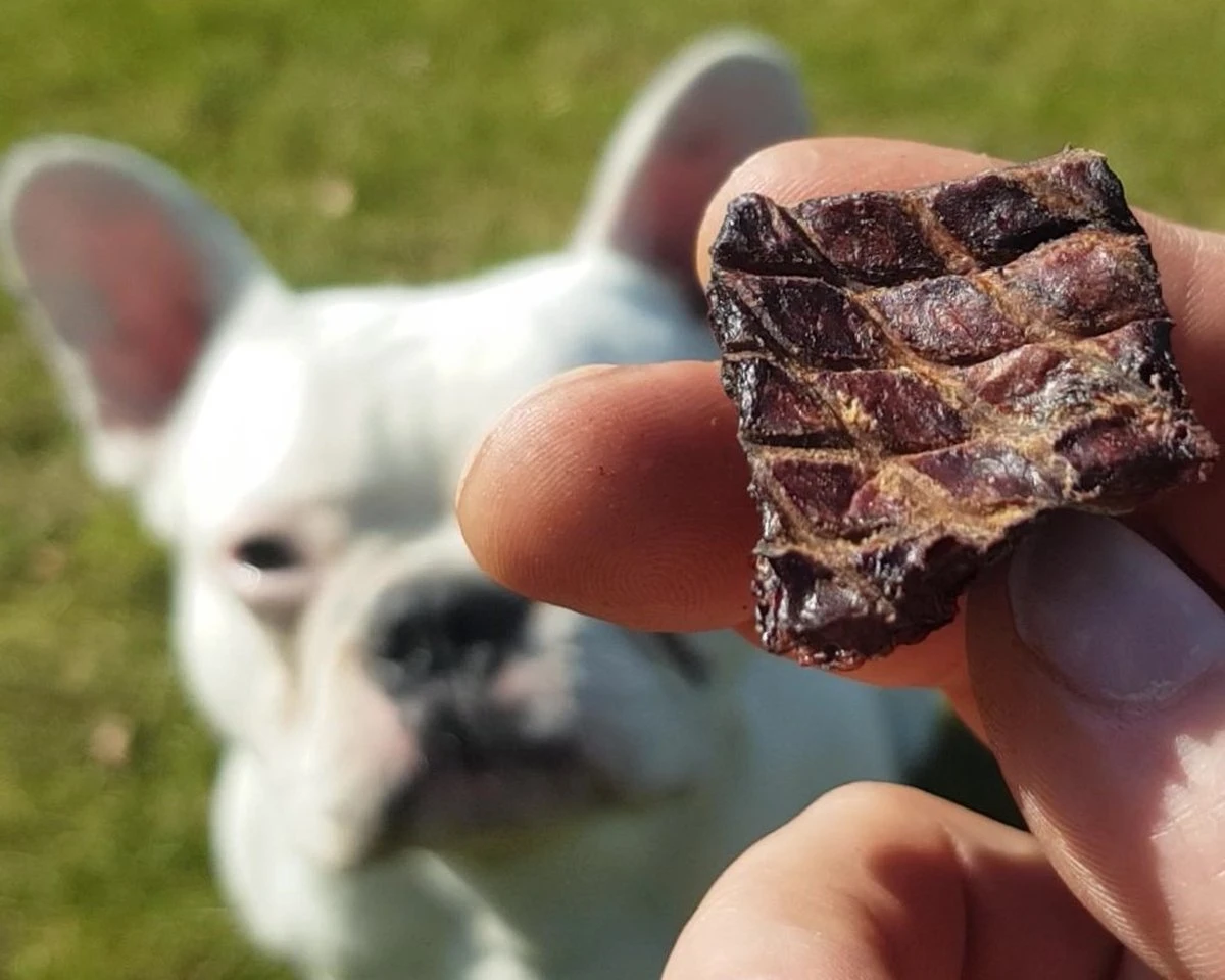 Topdiervoeding Runderlong Hondensnacks - Vers Gedroogd - Knapperig - 1 KG 7 Topdiervoeding Runderlong Hondensnacks - Vers Gedroogd - Knapperig - 1 KG - Afbeelding 5