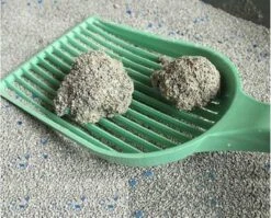 Merkloos Pet-Earth Golden Grey Master - Kattenbakvulling - Perfecte Klontvorming - 2 X 14 Kg 7 Merkloos Pet-Earth Golden Grey Master - Kattenbakvulling - Perfecte Klontvorming - 2 X 14 Kg -Huisdierbenodigdheden 1200x968