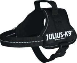 Julius K9 K9®Powertuig, S - Mini, Zwart -Huisdierbenodigdheden 1200x981
