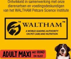 Pedigree Maxi Adult Honden Droogvoer - Rund - 15 Kg -Huisdierbenodigdheden 1200x992 1
