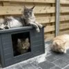 RHRQuality Kattenhuis Voor Binnen En Buiten Kattenhok Villa De Luxe Grijs -Huisdierbenodigdheden 1200x996 1