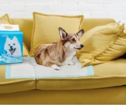 Nobleza 48LXB - Puppy Training Pads - 60 X 90 Cm - Zindelijkheidstraining - 100 Stuks -Huisdierbenodigdheden 1200x997 1