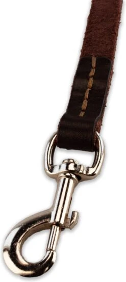 Multifunctionele Hondenriem - 220cm - Bruin - Leren Hondenriem - 100% Volnerfleer - Hondenriem Leer - Leiband Hond 14 Multifunctionele Hondenriem - 220cm - Bruin - Leren Hondenriem - 100% Volnerfleer - Hondenriem Leer - Leiband Hond -Huisdierbenodigdheden 536x1200