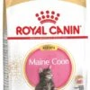 Royal Canin Maine Coon Kitten - Kattenvoer - 4 Kg -Huisdierbenodigdheden 578x1200