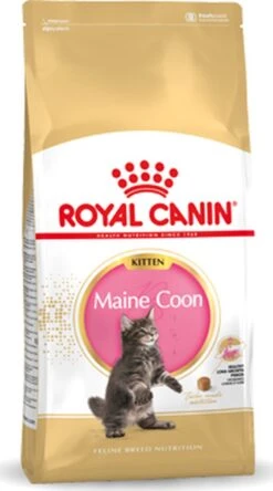 Royal Canin Maine Coon Kitten - Kattenvoer - 4 Kg -Huisdierbenodigdheden 668x1200
