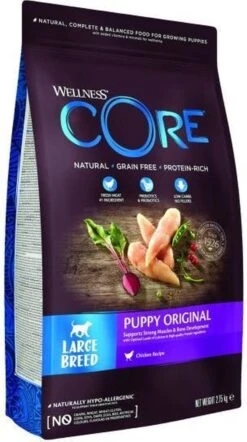 Wellness Core Grain Free Large Breed Puppy Kip - Hondenvoer - 10 Kg -Huisdierbenodigdheden 671x1200