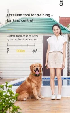 Anti Blafband EN Trainingshalsband In 1 - UNIEK SYSTEEM - 1000m Bereik - 100 Levels - Trainingsband - Antiblafband - Teletac - Geluid En Vibratie/trilling - Grote En Kleine Honden - Volledig Waterdicht - Anti Blafband -Huisdierbenodigdheden 744x1200