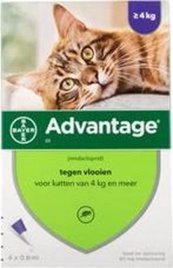 Advantage 80 Vlooiendruppelsl Kat Vanaf 4 Kg - 4 Pipetten -Huisdierbenodigdheden 773x1200 1