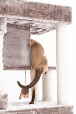 Petrebels Lodge 107 Krabpaal - Cappuccino - Design - Zeer Stabiel -Huisdierbenodigdheden 800x1200 10