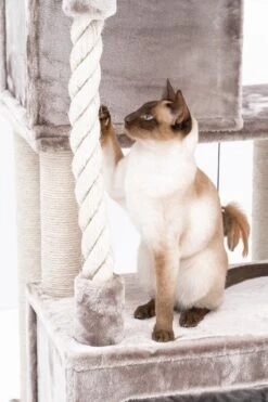 Petrebels Lodge 107 Krabpaal - Cappuccino - Design - Zeer Stabiel -Huisdierbenodigdheden 800x1200 11