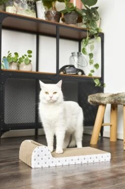 Adori Krabplank Met Spel - Krabpaal - 45x25x11 Cm