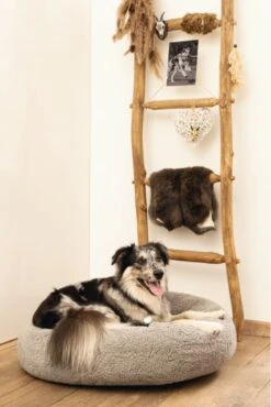 Beeztees Orthopedische Hondenmand Jaxx Grijs 70 Cm - Hond -Huisdierbenodigdheden 801x1200