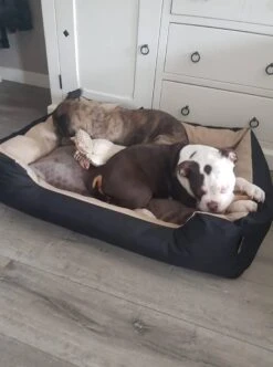 Hondenmand Cordura XXXL – Donkergrijs - 125 X 90 X 24 Cm -Huisdierbenodigdheden 892x1200