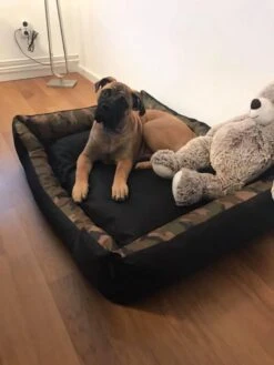 Hondenmand Cordura XXXL – Donkergrijs - 125 X 90 X 24 Cm -Huisdierbenodigdheden 900x1200 12