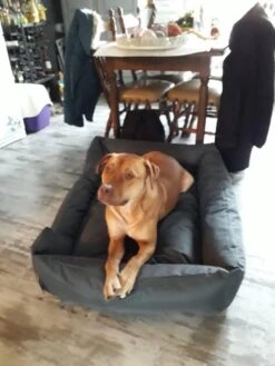 Hondenmand Cordura XXXL – Donkergrijs - 125 X 90 X 24 Cm -Huisdierbenodigdheden 900x1200 13