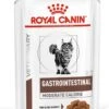 Royal Canin Gastro Intestinal Moderate Calorie Kat 12x85 Gr. -Huisdierbenodigdheden 903x1200 1