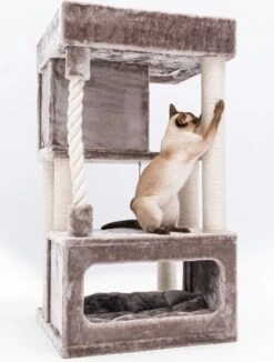 Petrebels Lodge 107 Krabpaal - Cappuccino - Design - Zeer Stabiel -Huisdierbenodigdheden 908x1200