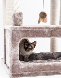 Petrebels Lodge 107 Krabpaal - Cappuccino - Design - Zeer Stabiel -Huisdierbenodigdheden 943x1200