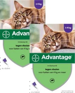 Bayer Advantage 80 Kat 4 Pip - Anti Vlooienmiddel - 2 X 0.8 Ml - > 4 Kg 7 Bayer Advantage 80 Kat 4 Pip - Anti Vlooienmiddel - 2 X 0.8 Ml - > 4 Kg -Huisdierbenodigdheden 965x1200