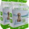 Topmast Puppy Pads - Voordeelpak - 60 X 45 Cm - Training Pads - Zindelijkheidstraining - 100 Stuks -Huisdierbenodigdheden 978x1200